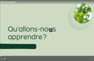 Qu'allons nous apprendre dans le cycle de webconférences "feuilles de savoirs"