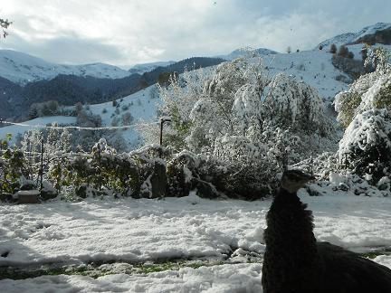 Solidarité à la montagne