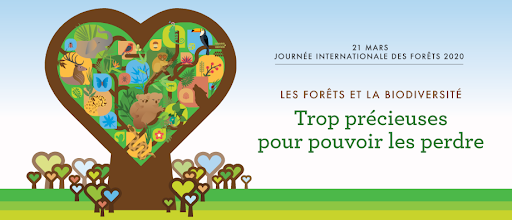 21 mars Journée Internationale des Forêts 