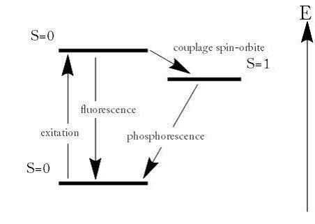 Différence entre fluorescence et phosphorescence: