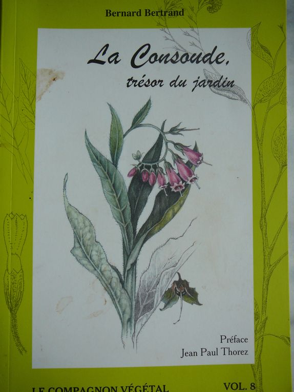 Album - bibliographie