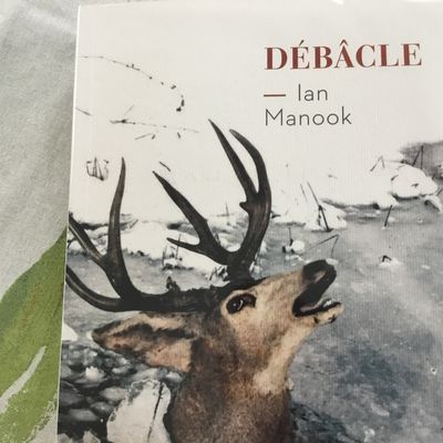 Ian Manook : Débâcle . Un livre prenant 