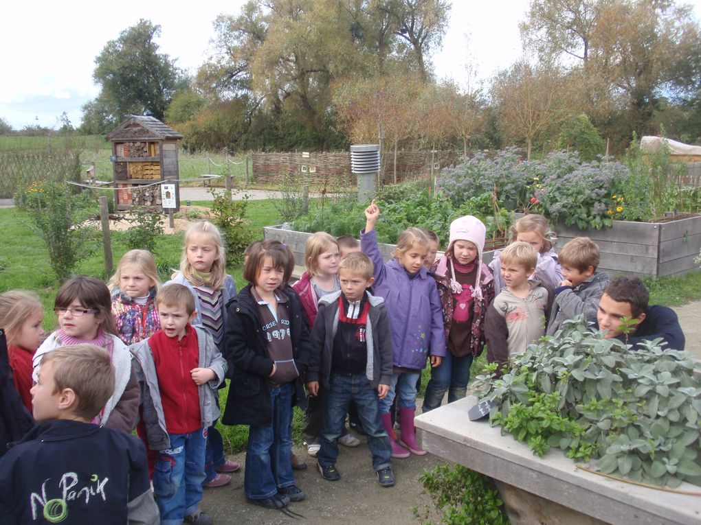 Sortie des GS-CP au jardin pédagogique du Pont Douves de Carentan.