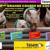 L'EVENEMENT : LA 4 ème COURSE DE COCHONS