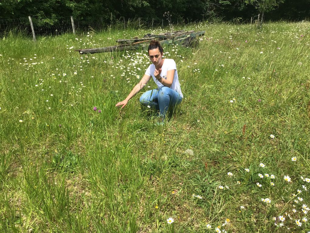 Sortie des GS à Trotte Lapin