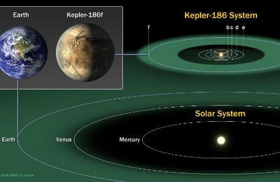 Découverte d’une exoplanète potentiellement habitable
