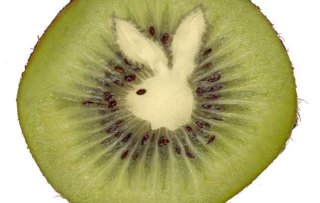 Le kiwi Playboy