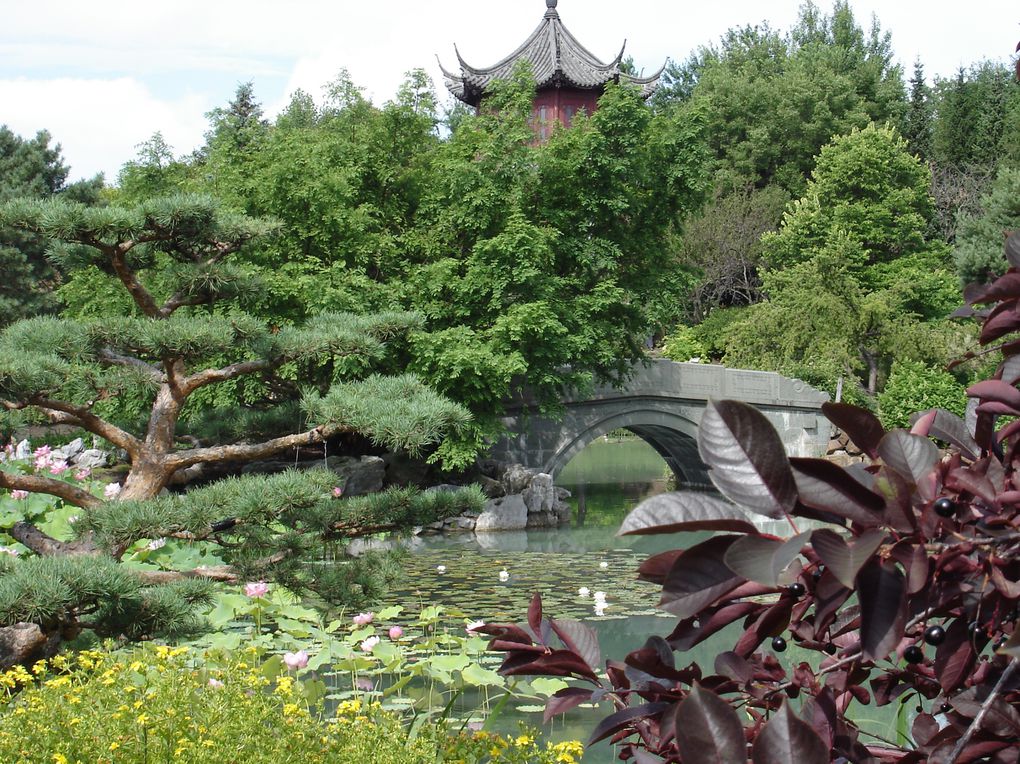 Album - jardin-botanique-et-biodome