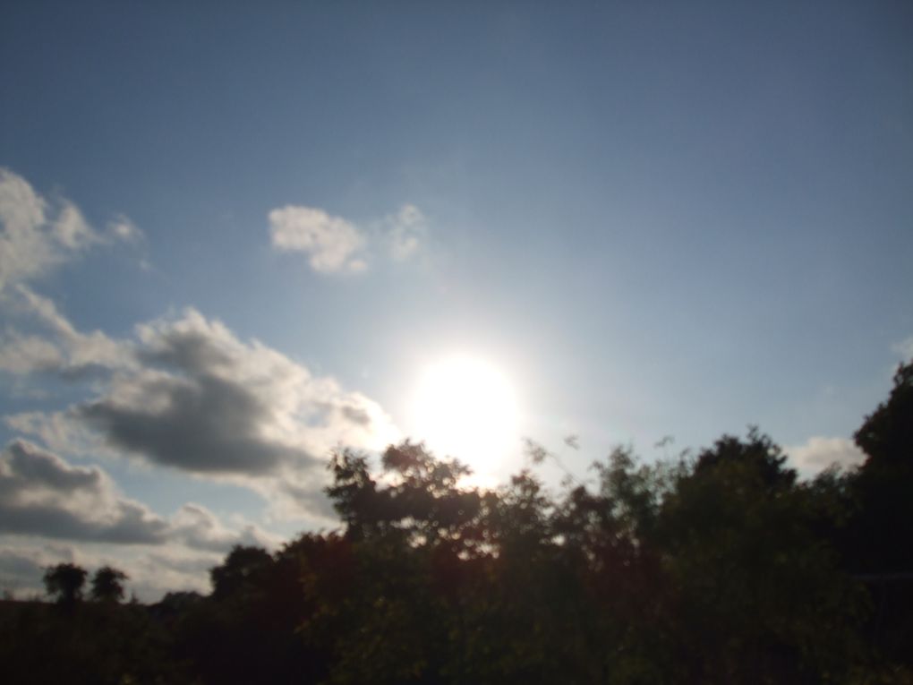 J'aime regarder le ciel. Son immensité me rassure. Sa beauté et ses couleurs m'inspirent, me font réfléchir, rire ou même sourire. J'associe le ciel aux oiseaux, aux rêves, à l'inconnu et à l'espoir. En figeant quelques clichés, j'ai l'impre