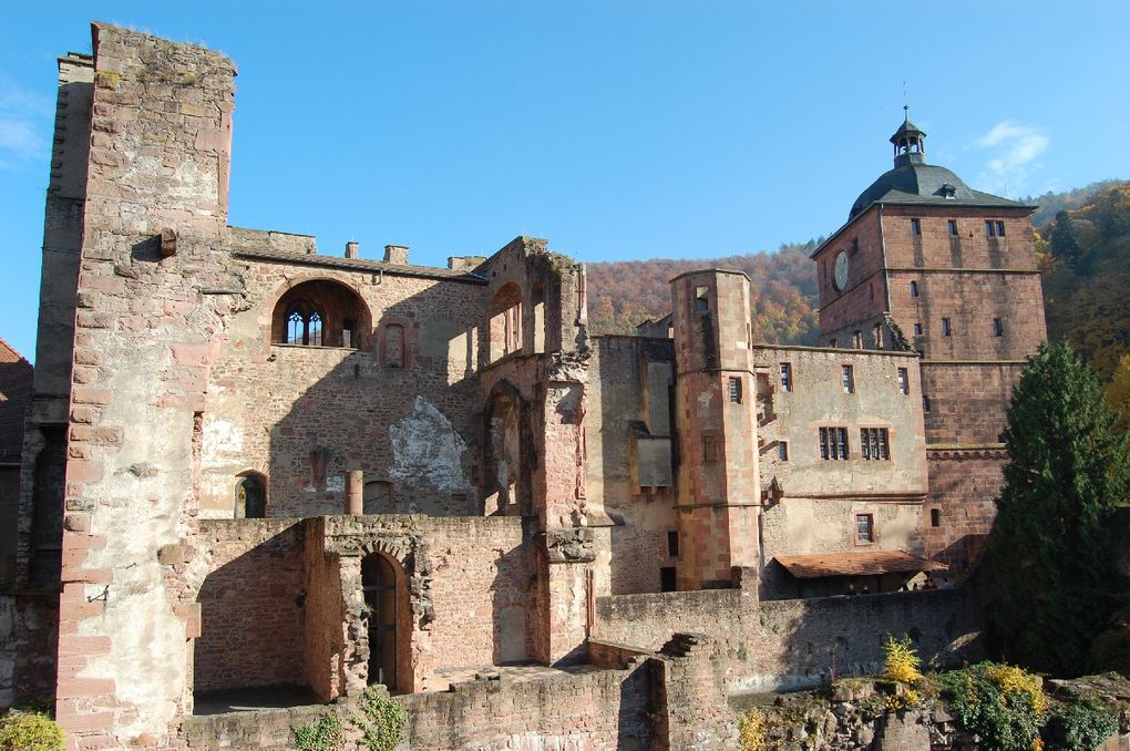 Album - Heidelberg_Herbst_2010