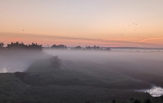 Lever de soleil et brumes sur le marais