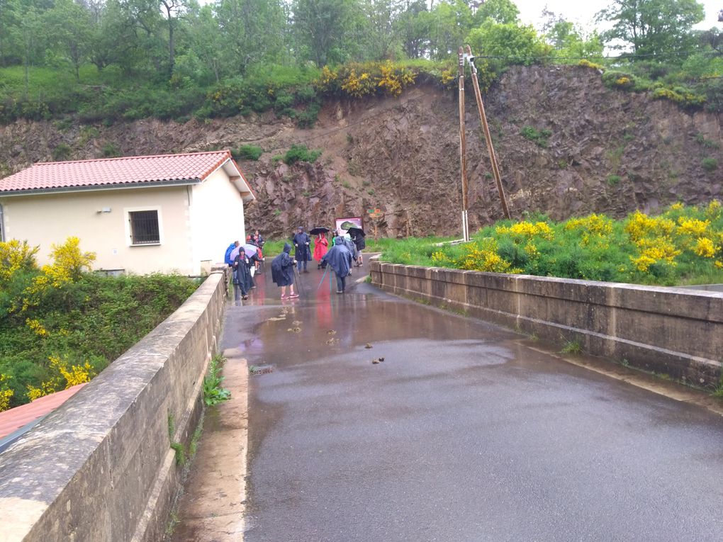 RANDO du 4 Juin 2023 à Rochetaillée 42 (Le Gouffre d'Enfer) 