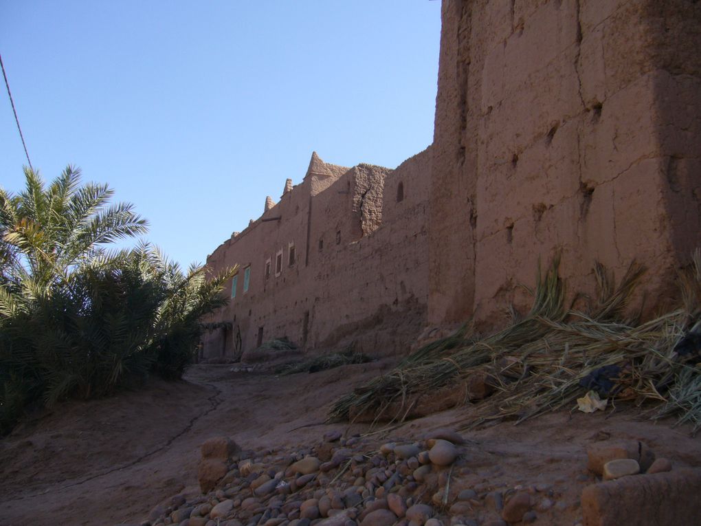 Trekking dans la vallée du Drâa au sud du Maroc. 