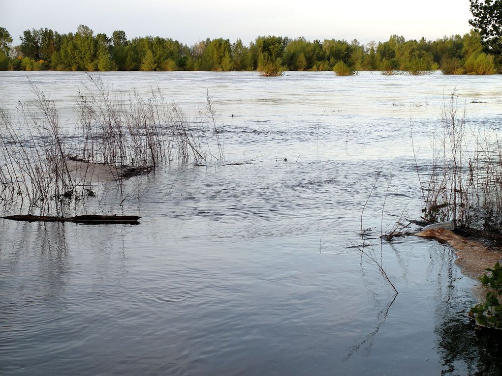 Album 1h - Nature et paysages 2015