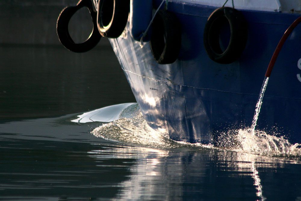 La pêche en Bretagne - Photos Thierry Weber Photographe La Baule Guérande