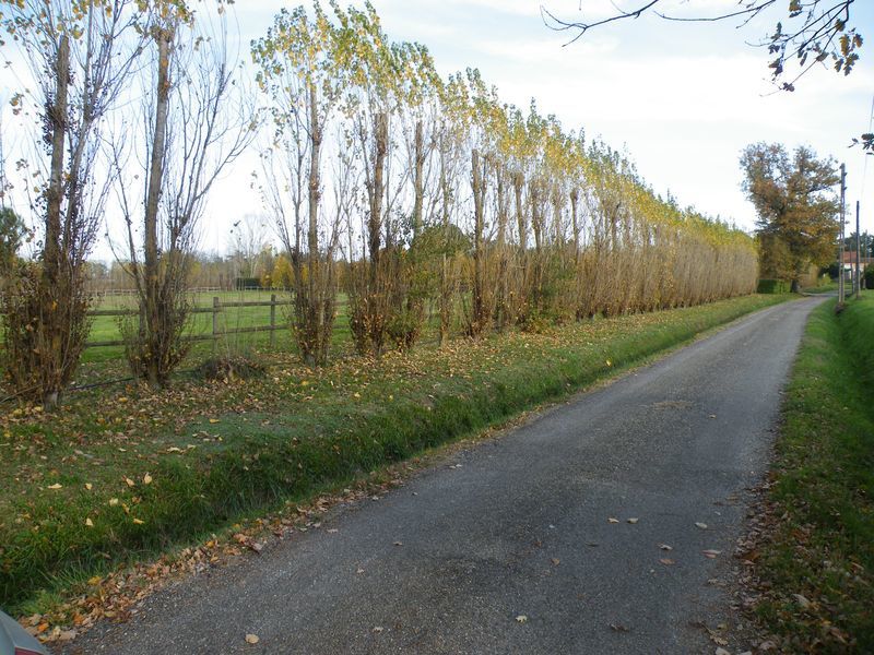 notre quartier pdt l'automne 2009