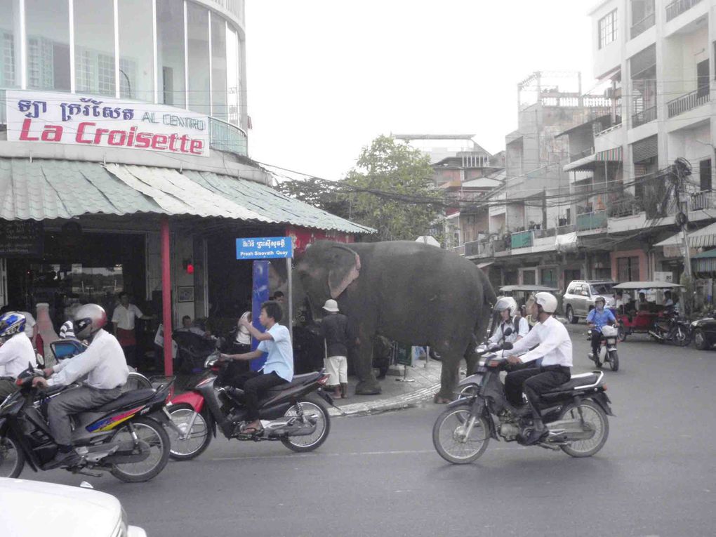 quelques photos de notre périple de Nantes à Phnom Penh en passant par Le Caire et Bangkok