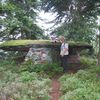 Randonnée de l'association co-naître en forêt de Haute Murée