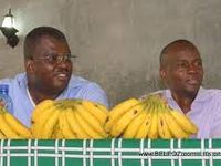 Feu Jovenel, Rosny Célestin et les bananes