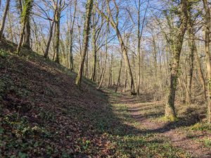 Le talus est bien dégagé. Vues le 18 mars côté intérieur et le 22 côté extérieur.