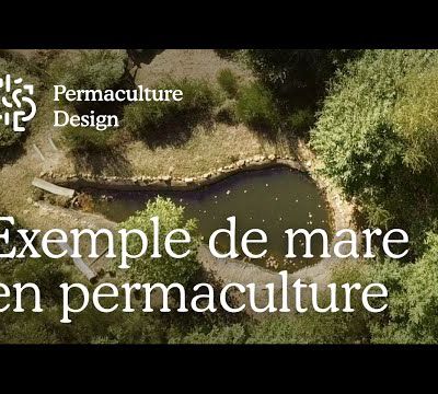 Une mare en permaculture