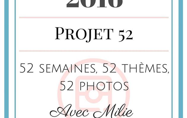 Projet 52 photos 2016 (1ère semaine) 