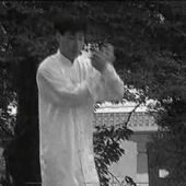 Vu sur le Web ; Qian Ba Zhuan et Taiji des treize mots par maître Liang Chao Qun - ASSOCIATION LE BAMBOU HEROUVILLE SAINT-CLAIR (PRES DE CAEN) CALVADOS NORMANDIE
