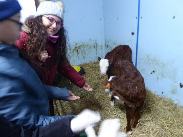 La ferme des Tines