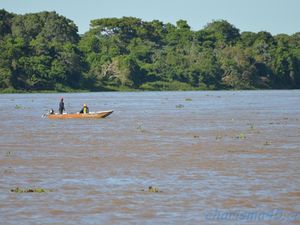 Pantanal nord (Brésil en camping-car)