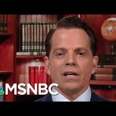 Full Scaramucci: The President Is Having A 'Total Mental Breakdown' | MTP Daily | MSNBC