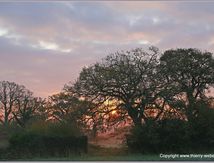 Petit matin d'hiver dans la campagne bretonne