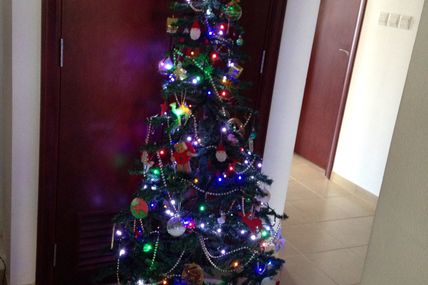 Mission sapin accomplie