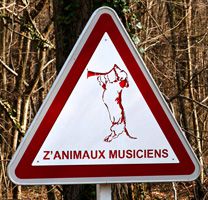 Z'animaux à St-Roch