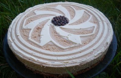 DELICE TRICOLORE AUX NOISETTES ET AU MASCARPONE