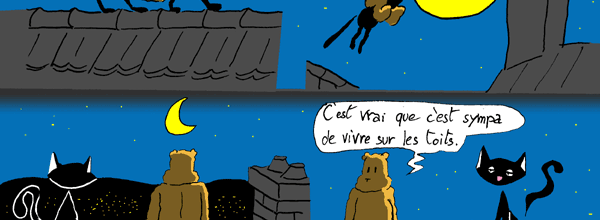 Sur les toits...