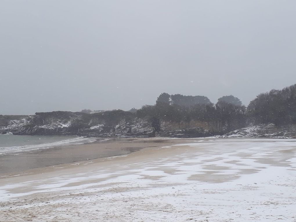 Ce matin, nous avons eu le droit à une énorme surprise: LA NEIGE!!!! Nous avons pu faire une super bataille de neige pendant la récréation et on s'en est donné à cœur joie. Juste avant de rentrer en classe, un élève nous a demandé: "Et la mer, tu penses qu'elle est gelée aussi?"; Ni une, ni deux nous avons décidé de partir vérifier. Résultat: effectivement, la mer n'était pas gelée (merci, le sel!!!) mais nous avons profité d'un moment magnifique sur la plage enneigée avant de rentrer nous réchauffer. 