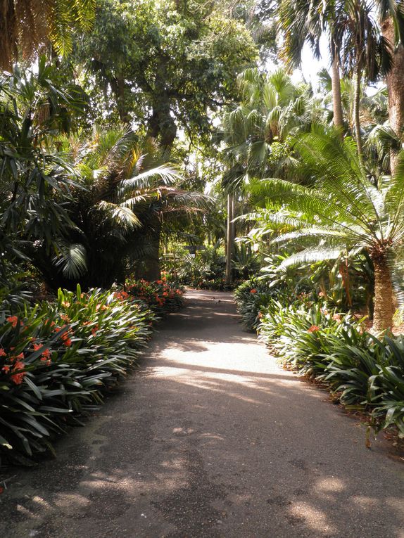 Album - Royal-Botanic-Garden---Sydney