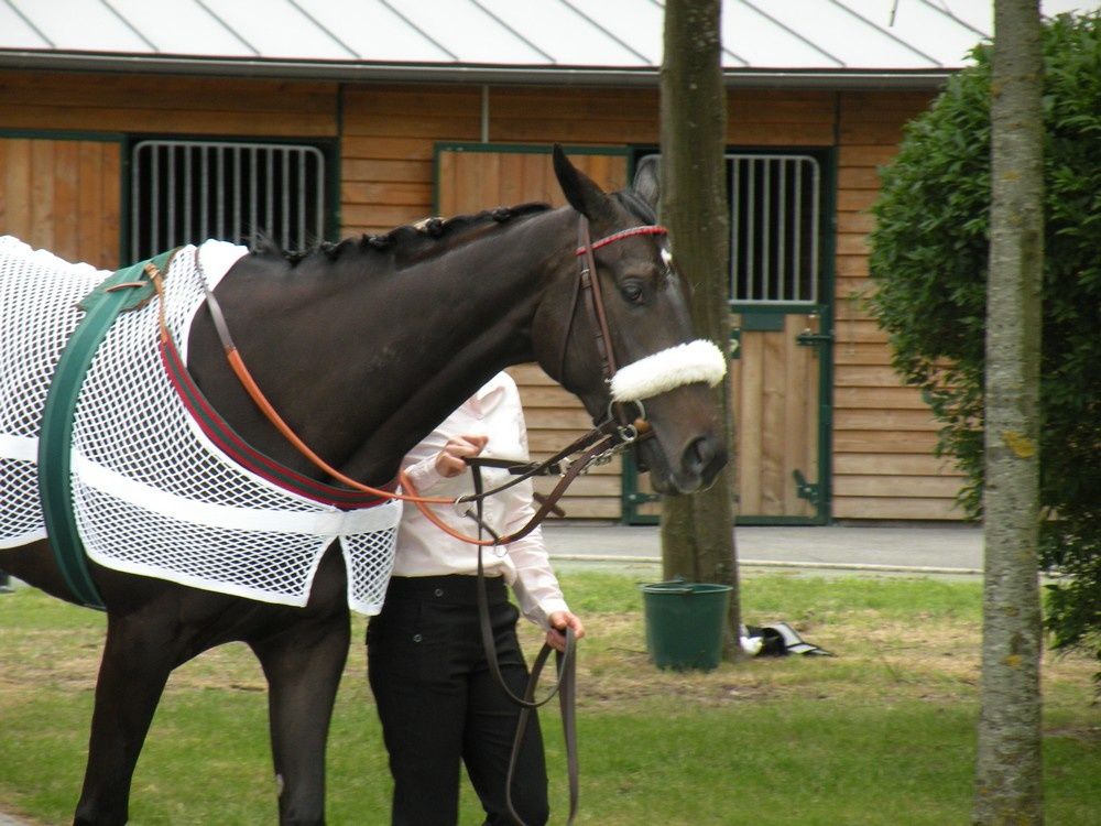 Album - 20110612-CHANTILLY