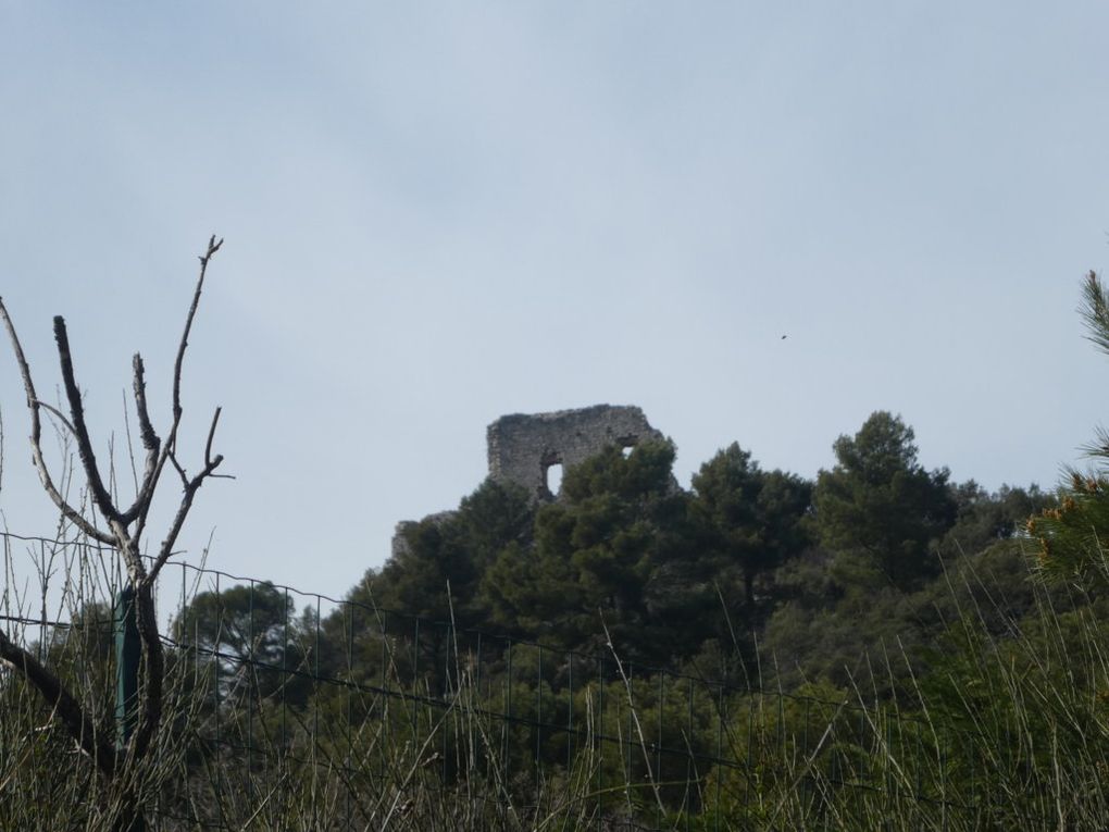 Rando du 1 Avril -Nans les Pins