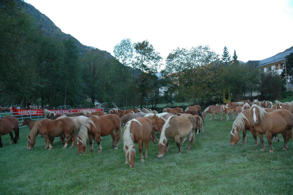 Foire de LES octobre 2010