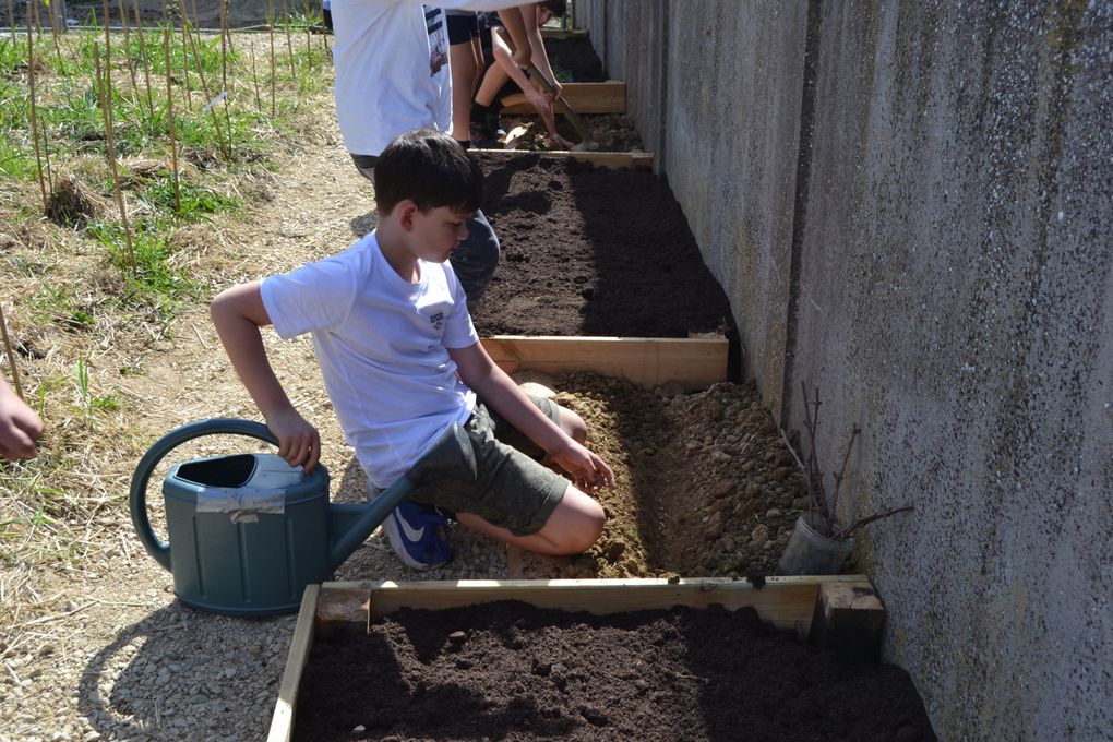 Projet MINI BIG FOREST et jardin potager. 