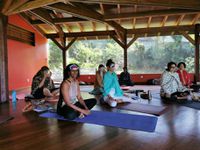 explorer les équilibres, vivre l'obscurité et les rétentions... 🧘🏽‍♀️ de beaux moments à Ananda avec Maitri en yoga 🕉️🙏🏼