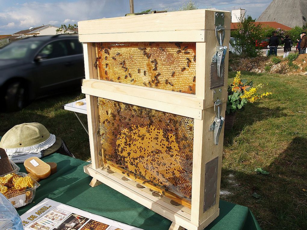 manifestations où participe la Miellerie de Magali avec son stand de miels de Bourgogne Api 4 et produits de ses ruches de Bourgogne