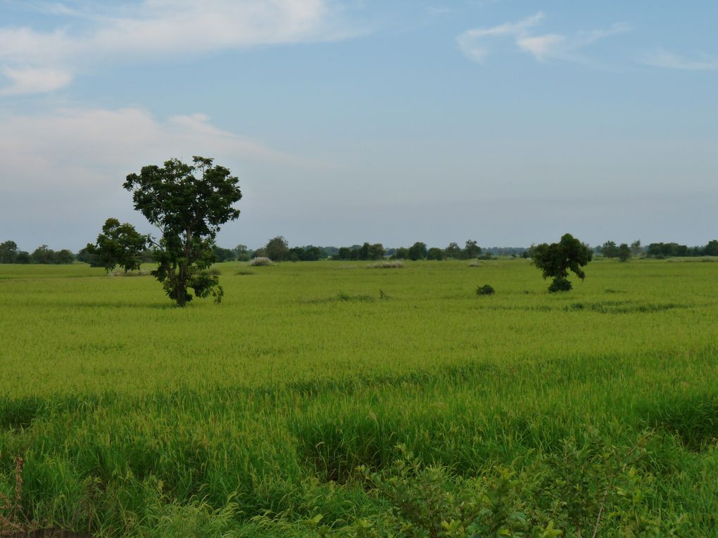 Album - 10-BATTAMBANG