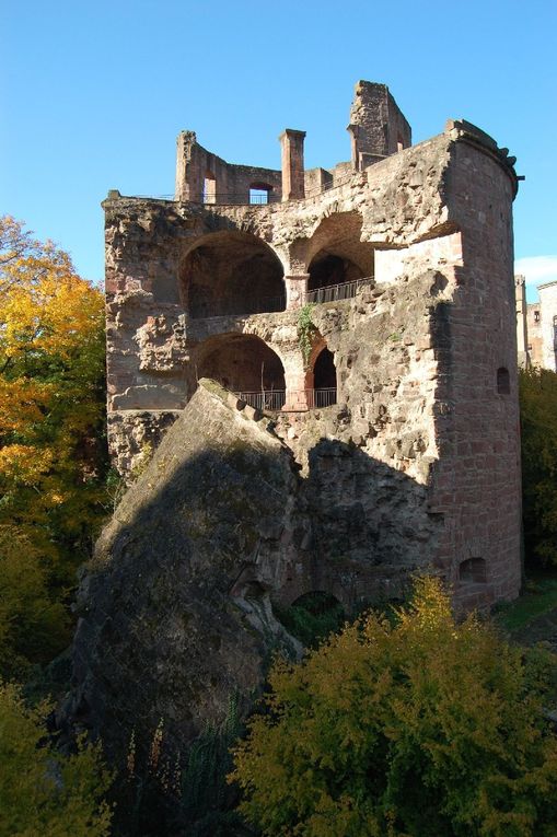 Album - Heidelberg_Herbst_2010