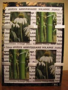 Album - cartes d'anniversaire