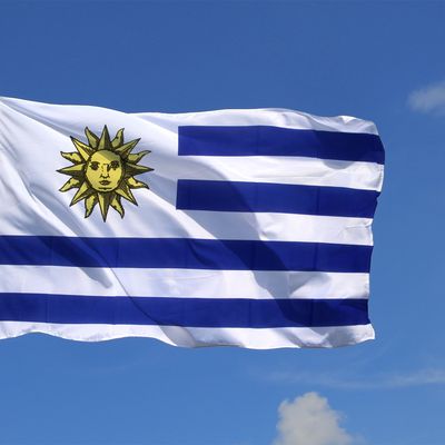 L’Uruguay, premier pays d’Amérique latine à rejoindre le club des pays avec le paquet neutre