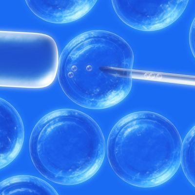 La découverte du 5ème élément...? 