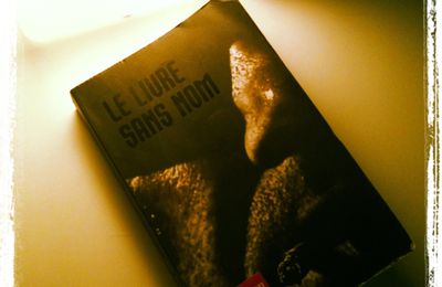 Le livre sans nom