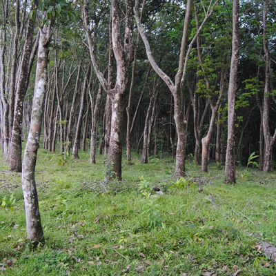 Septième journée : en route pour Merida